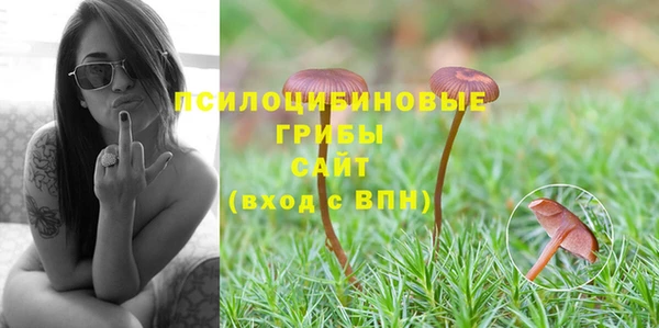 ECSTASY Алексеевка
