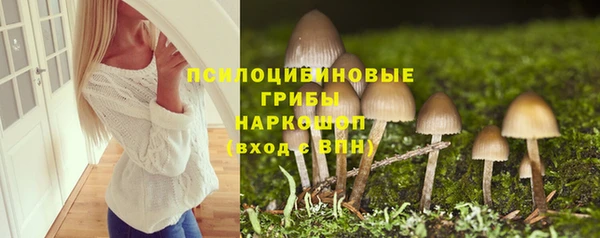 ECSTASY Алексеевка