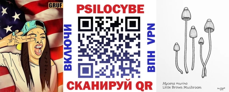 Псилоцибиновые грибы GOLDEN TEACHER  Нелидово 