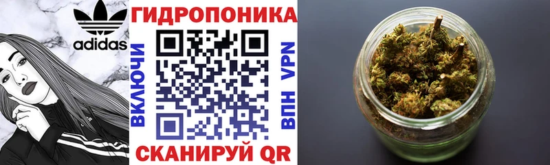 Шишки марихуана White Widow  ОМГ ОМГ ONION  Нелидово 